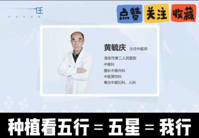 中药材淫羊藿怎么种？听专家一次讲明白！不挑地块好管理，耐寒耐旱省心省力，新手也能轻松上手，药用价值高、市场需求稳，妥妥的增收好品种～ 从生长习性到采收要点，干货满满无废话，种植疑问直接问，一对一答疑解