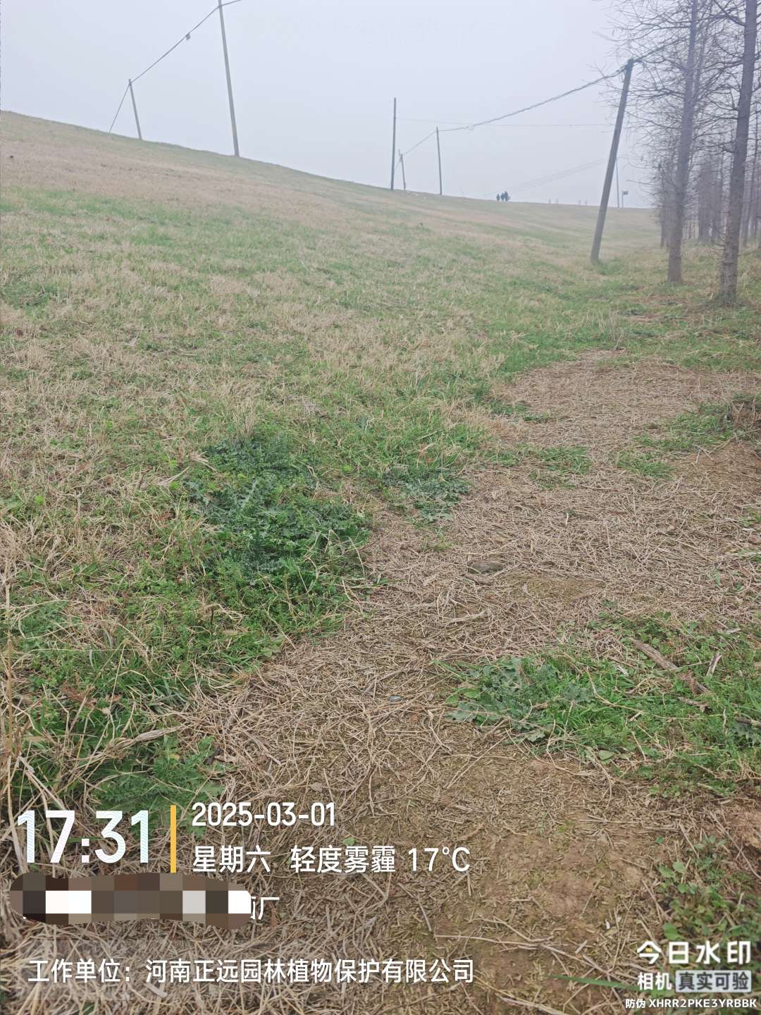 http://st-static1.tongzhangbu.cn/forums/2026/02/02/17700008909278.jpeg