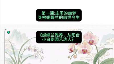 第一节：庄周的幽梦：寻根蝴蝶兰的前世今生，课程：《蝴蝶兰雅养六讲：从阳台小白到园艺达人》#识农AI