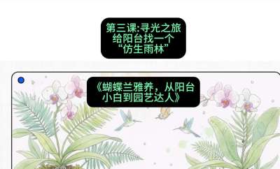 第三节：寻光之旅：给阳台找一个&ldquo;仿生雨林&rdquo;，课程：《蝴蝶兰雅养六讲：从阳台小白到园艺达人》#识农AI