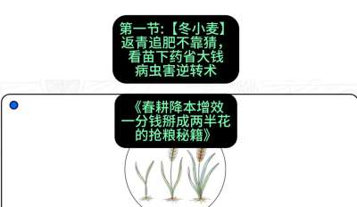 第一节：【冬小麦】返青追肥不靠猜，看苗下药省大钱