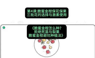 第4节：脆蜜金柑保花保果：三批花的选择与激素使用，课程：《脆蜜金柑怎么种？拒绝死苗与裂果，脆蜜金柑8步避坑种植法》#识农AI