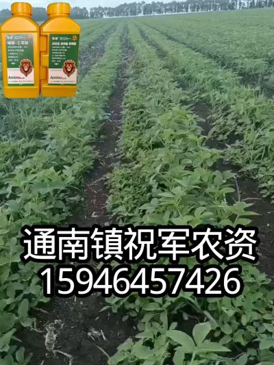 大豆苗前封闭，可封红根苋菜，灰菜，兰花菜，野豆子，捞豆秧等恶性杂草，封杀兼备的高端产品。