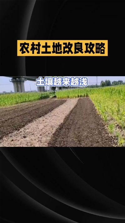1. 先搞懂：你到底要改良哪块地、种什么
 
- 土土土在哪里？
就是你自家农田、菜地、果园，哪块地想种庄稼，就测哪块地的土。
​
- 有水没有水？
有水能浇：改良更省事，施肥、调酸碱都好操作。
没水