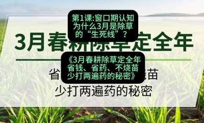 第1节：窗口期认知，为什么3月是除草的&ldquo;生死线&rdquo;？，课程：《3月春耕除草定全年：省钱、省药、不烧苗、少打两遍药的秘密》