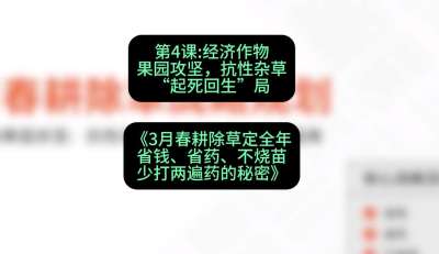 第4节：经济作物果园攻坚，抗性杂草&ldquo;起死回生&rdquo;局，课程：《3月春耕除草定全年：省钱、省药、不烧苗、少打两遍药的秘密》