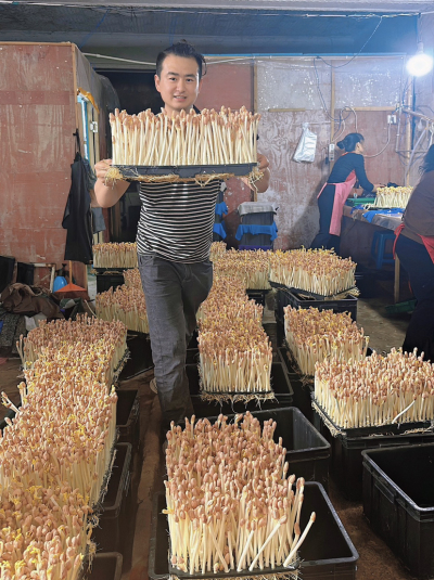 每天10分钟，跟着学种芽苗菜&mdash;&mdash;新手也能轻松上手的家常种植课 