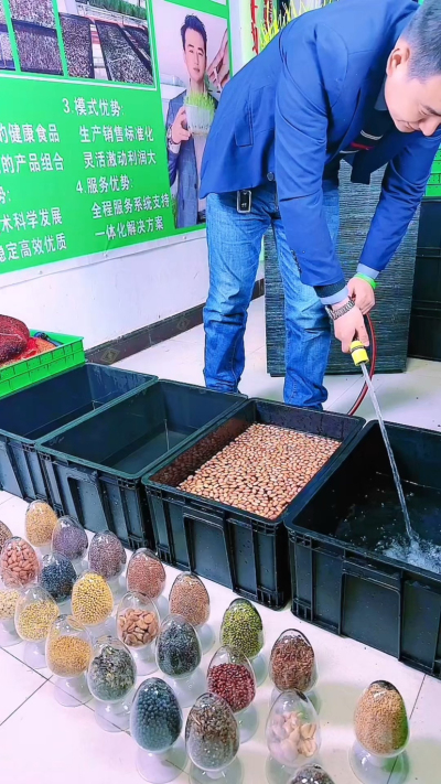 
自己种花生芽，泡种最关键！试过好几次才明白，挑对种子、水温合适、别泡太久，这三点做好了，芽子长得又快又整齐。你们在家种的时候，泡种有没有踩过坑呀？
#花生芽怎么种 #家庭种菜小技巧 #新手种芽苗菜 