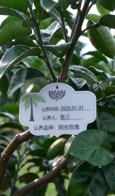 果园生意难？
客户少、预售难、溯源弱、复购低？
用 SaaS 认养平台，一键解决：
✅ 认养挂牌，让客户为 &ldquo;自己的树&rdquo; 买单，提前锁定全年收益
✅ 可视化监控，手机端实时看生长，客户信任度翻倍
✅ 