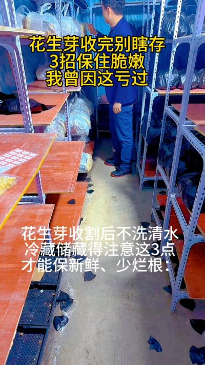 前阵子有回收了一大盘花生芽，想着第二天给老客户送，没当回事就直接塞进冰箱密封盒里了。结果第二天一打开，底部的芽子全黏糊糊的，根都发黑了，心疼得我直拍大腿&mdash;&mdash;那可是熬了好几天才种出来的，就因为存错了，全