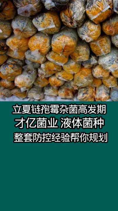 立夏链孢霉杂菌高发期，才亿菌业液体菌种整套防控经验帮你规划。