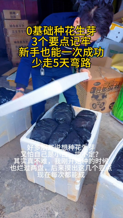 新手种花生芽，别上来就瞎试！我刚开始没经验，光种子就浪费了半斤&mdash;&mdash;泡太久烂了，没遮光芽子红得没法吃，浇水太猛直接烂根，三盘全废了。
后来才摸透，新手就抓这3点：
❶ 种子挑饱满没破壳的，泡6-8小时赶
