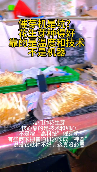 #心系三农服务三农 在家种花生芽的第7天，终于悟了&mdash;&mdash;哪需要什么 fancy 设备，一个塑料盒、一块湿布，就能种出脆嫩多汁的芽菜。
刚开始总怕失败，照着教程一步步来：温水泡种6小时，铺湿纱布，每天早晚