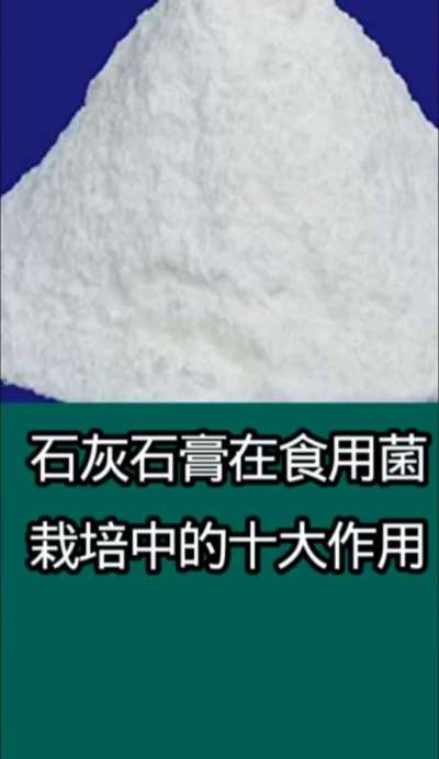 石灰石膏在食用菌栽培中的十大作用