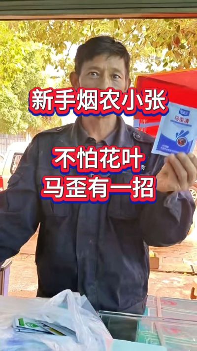 花叶马歪不用愁，遇到这类问题，选马歪清更靠谱